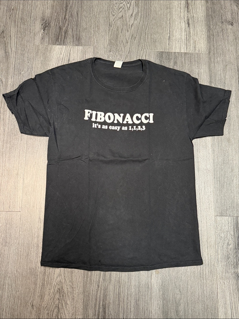 Fruit of the Loom Black Fibonacci Graphic Tee with White Text